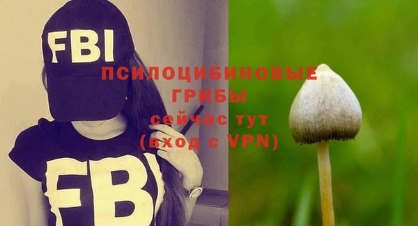 не бодяженный Верея